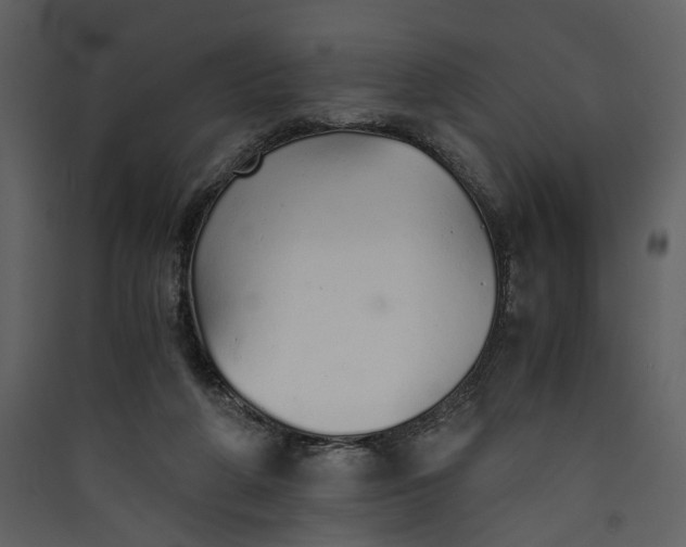 X0000089930210200707131439