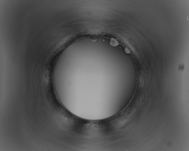 X0000089930211200707131439