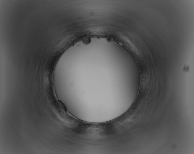 X0000089930213200707131439