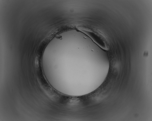 X0000089930214200707131439