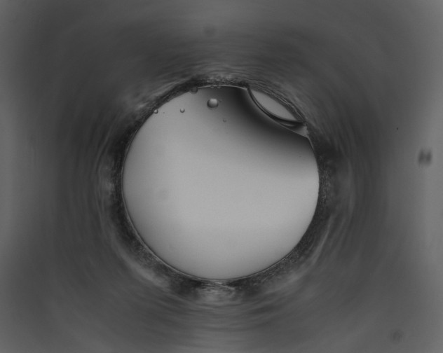 X0000089930215200707131439