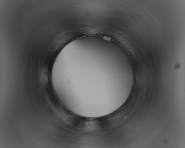 X0000089930216200707131439