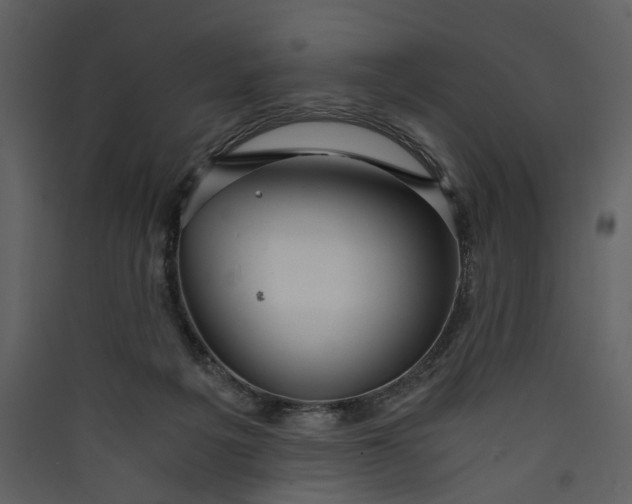 X0000089930217200707131439