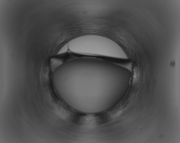 X0000089930219200707131439