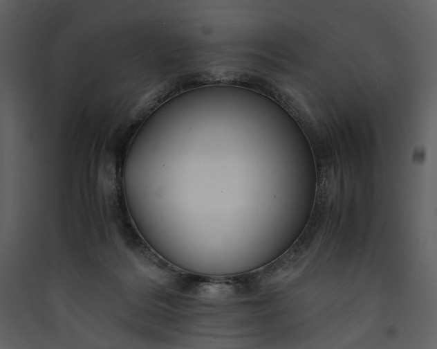 X0000089930220200707131439