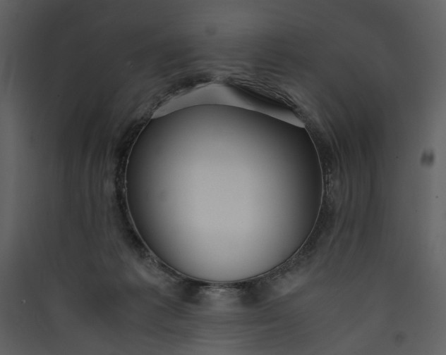 X0000089930221200707131439