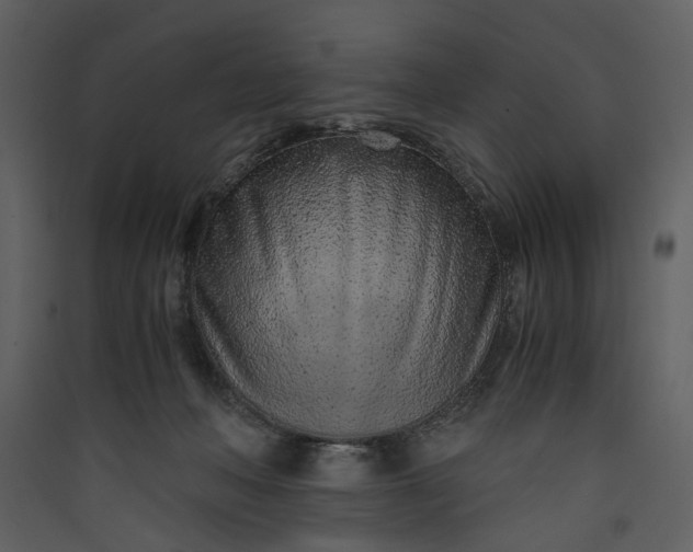 X0000089930222200707131439