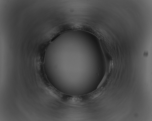 X0000089930223200707131439