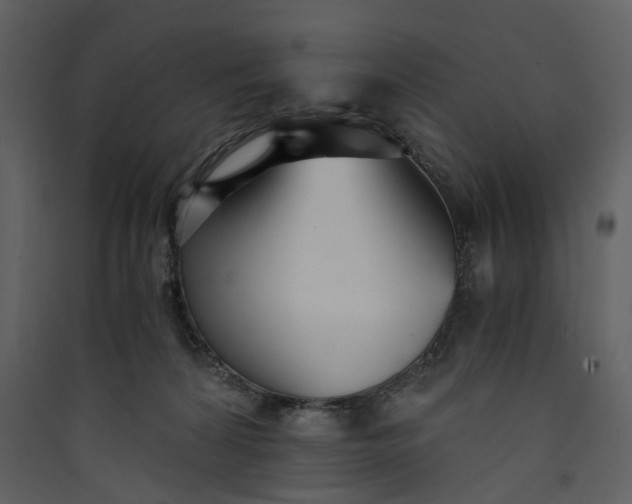 X0000089930224200707131439