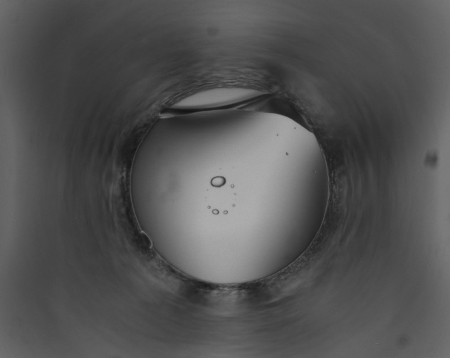 X0000089930225200707131439