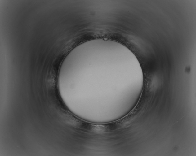 X0000089930226200707131439