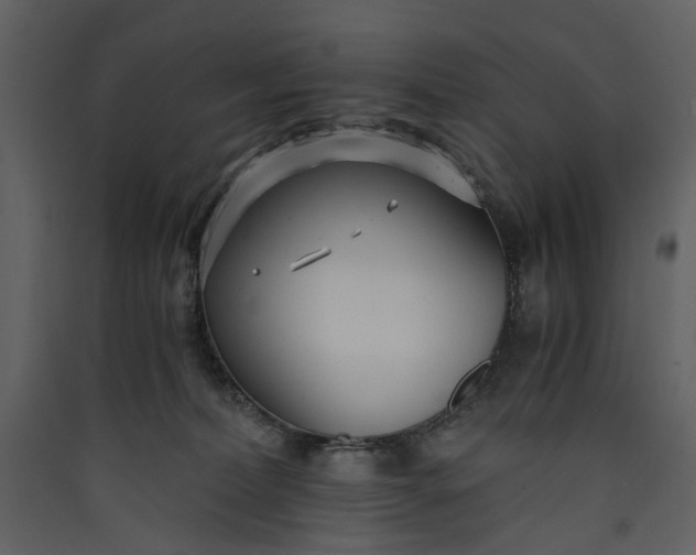 X0000089930228200707131439