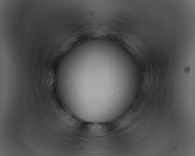 X0000089930230200707131439