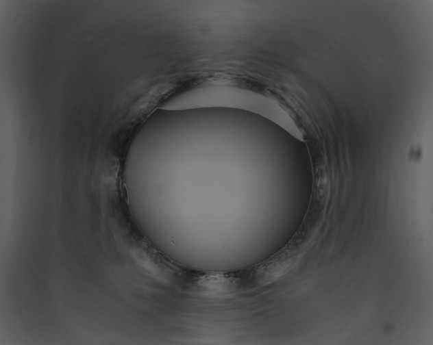 X0000089930231200707131439