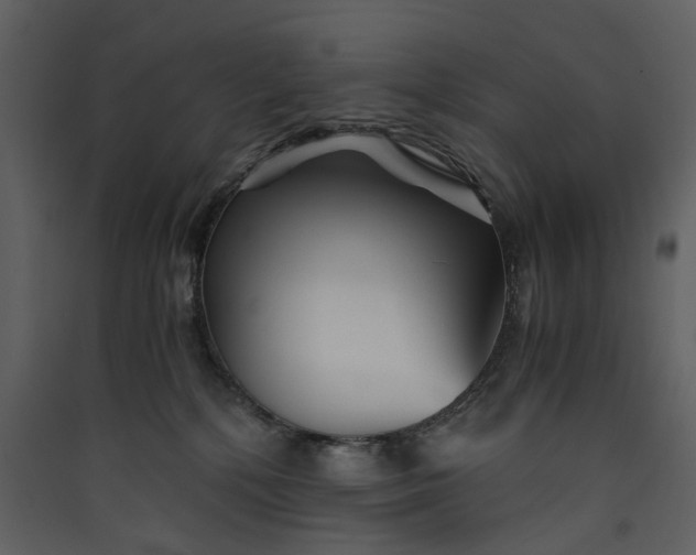 X0000089930232200707131439