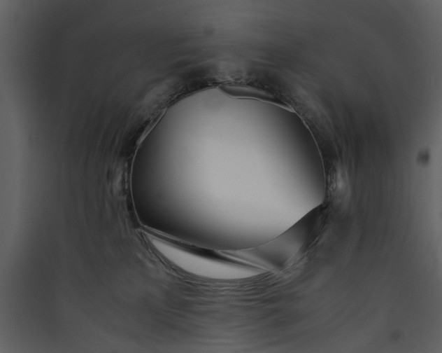 X0000089930233200707131439