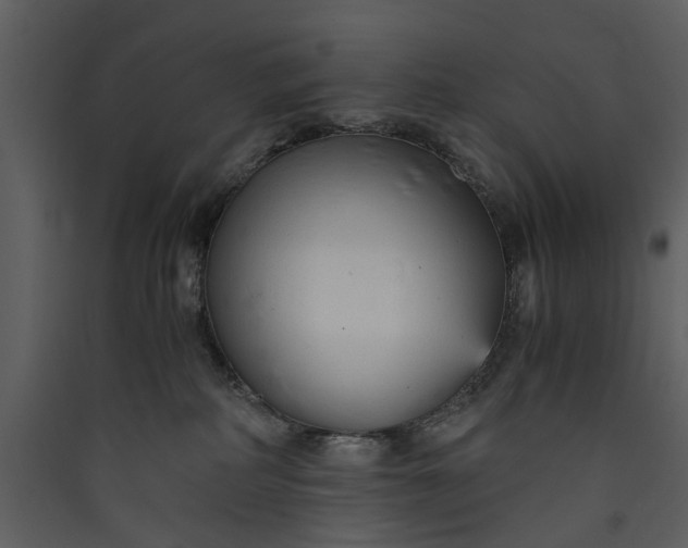 X0000089930234200707131439