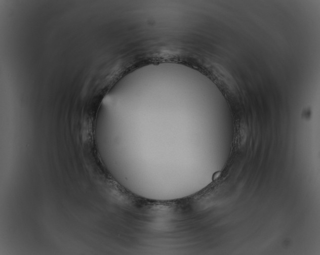 X0000089930236200707131438