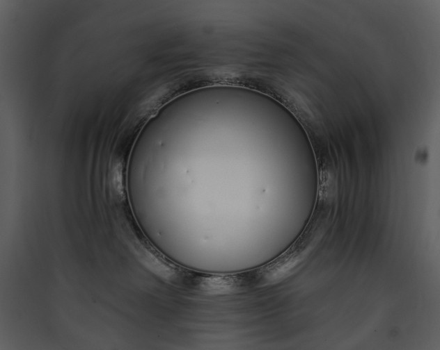 X0000089930238200707131438