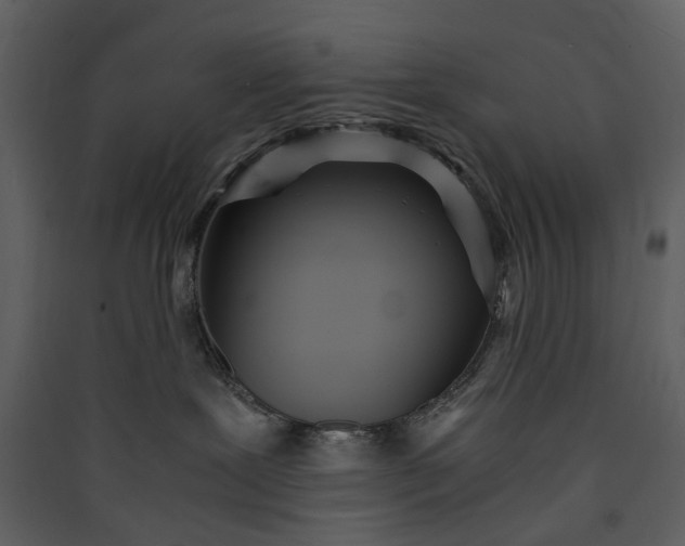 X0000089930239200707131438