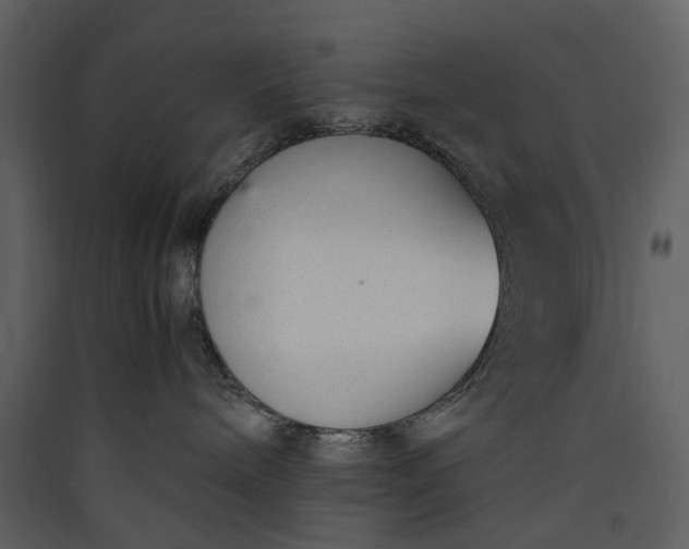 X0000089930240200707131438