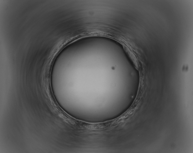 X0000089930241200707131438