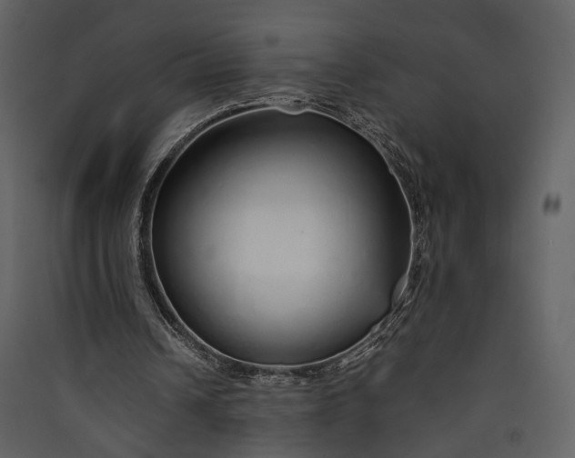 X0000089930242200707131438