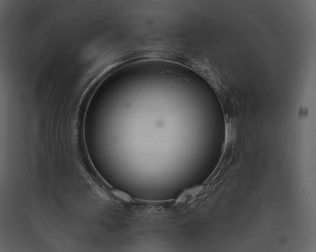 X0000089930243200707131438