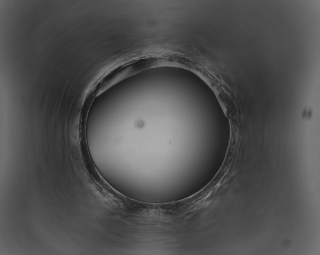 X0000089930244200707131438