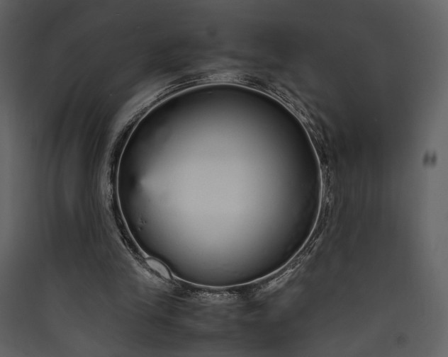 X0000089930245200707131438