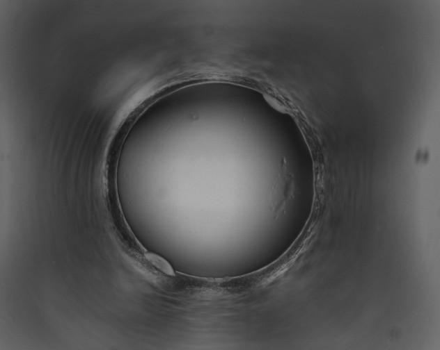 X0000089930246200707131438