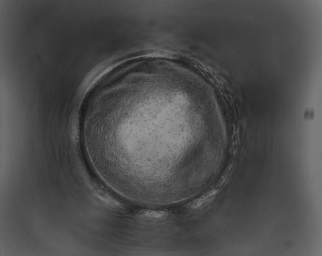 X0000089930247200707131438