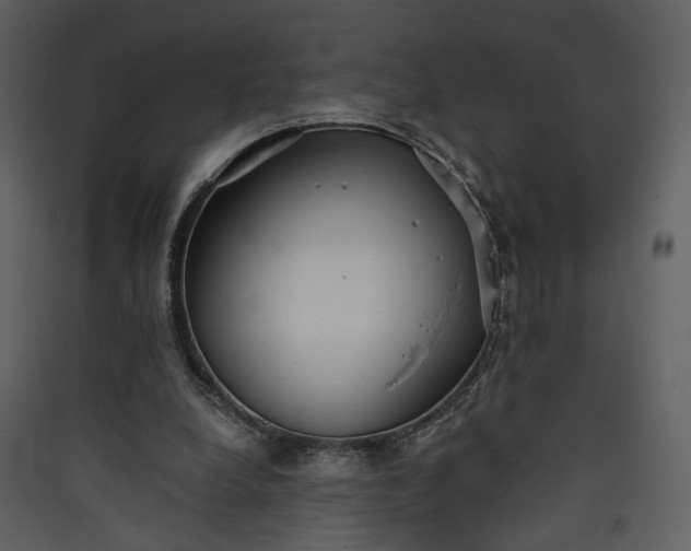 X0000089930248200707131438