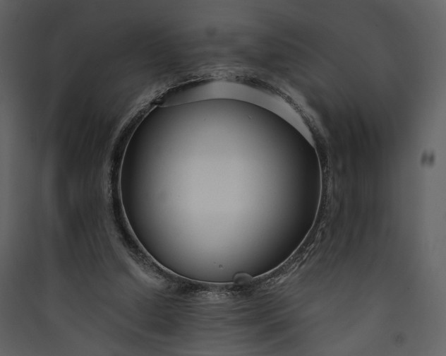 X0000089930250200707131438