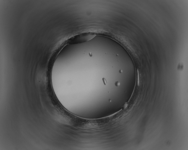 X0000089930252200707131438