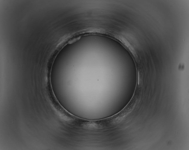 X0000089930253200707131438