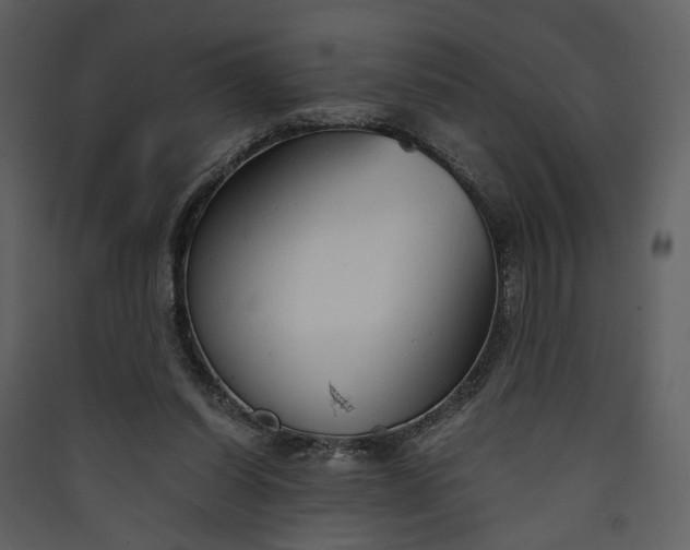 X0000089930254200707131438