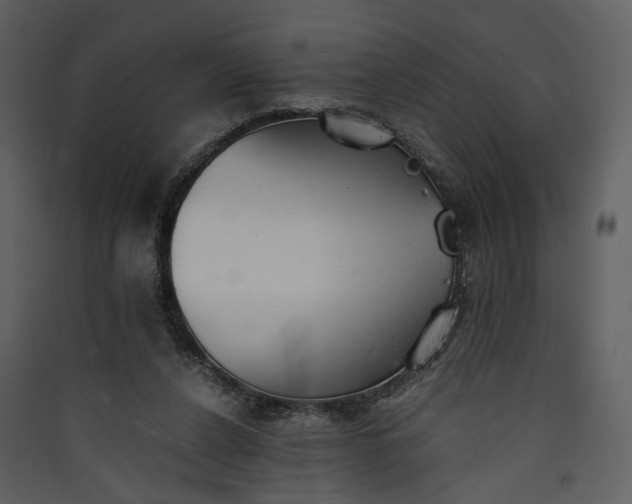 X0000089930256200707131438