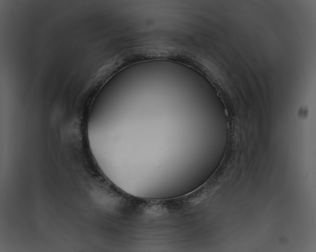 X0000089930258200707131438