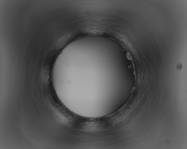 X0000089930259200707131438