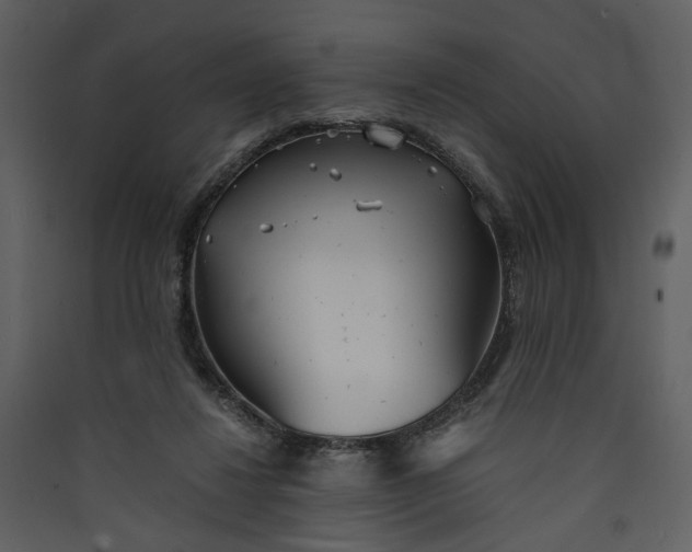 X0000089930260200707131438