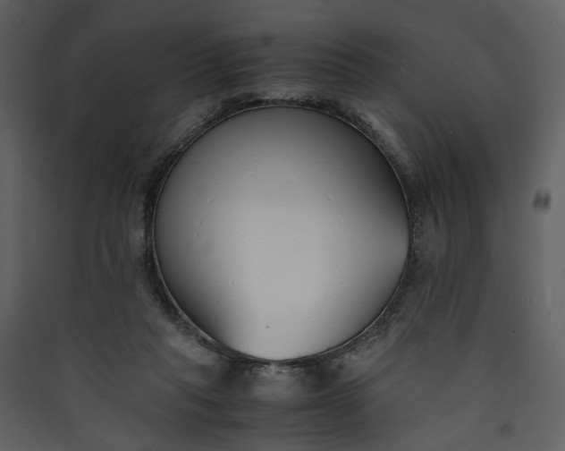 X0000089930261200707131438