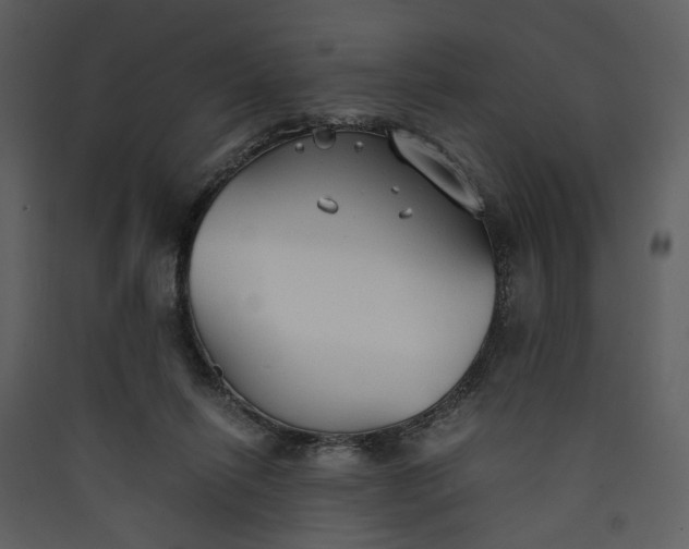 X0000089930262200707131438