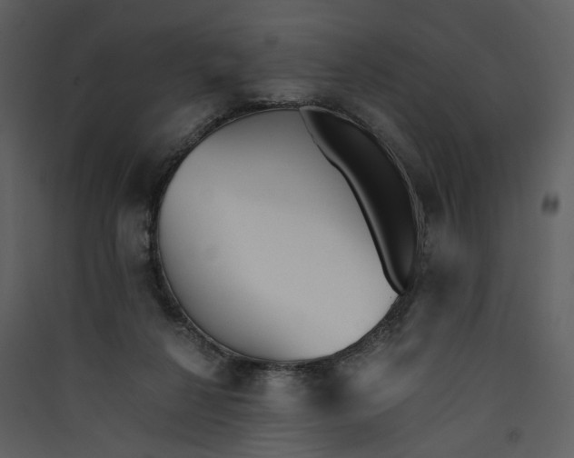 X0000089930264200707131438