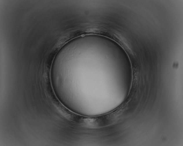 X0000089930265200707131438