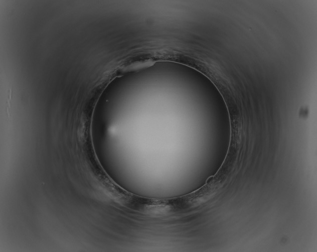 X0000089930266200707131438