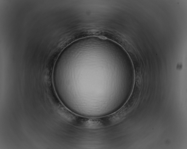 X0000089930270200707131438