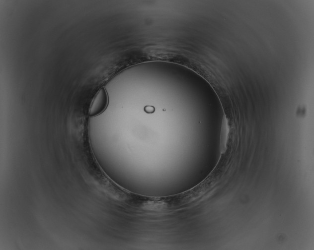 X0000089930271200707131438