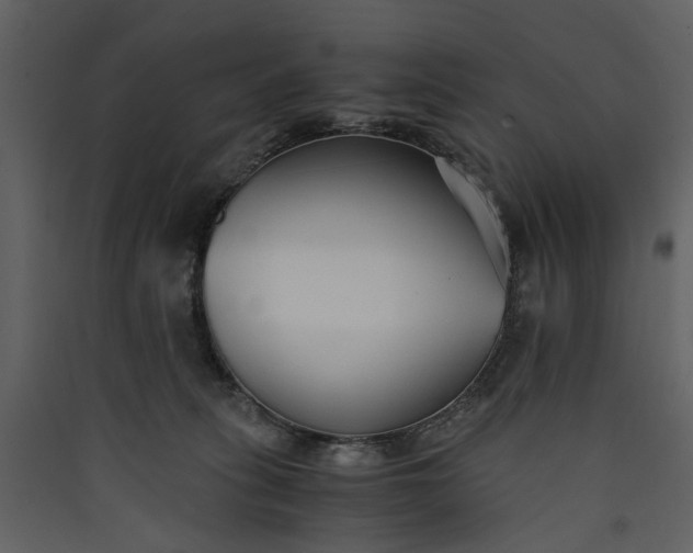 X0000089930275200707131438