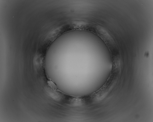 X0000089930276200707131438